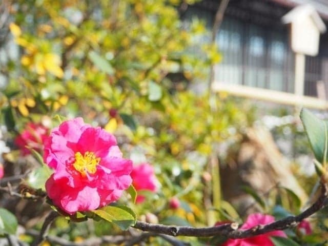 酢っごい展樽を知る