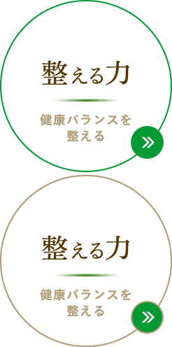 整える力